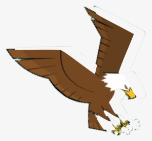 Eagle - Buzzard