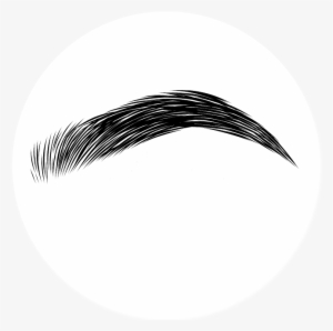 Collection Of Eyebrows - Eyebrows Png