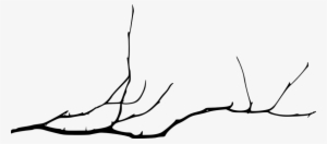 Free Png Simple Tree Branch Png Images Transparent - Bare Tree Branch Png