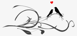 Love Birds On A Branch Clip Art - Love Birds Image Sketch