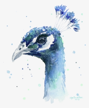 Click And Drag To Re-position The Image, If Desired - Peacock Artwork