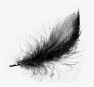 The Raven On Emaze