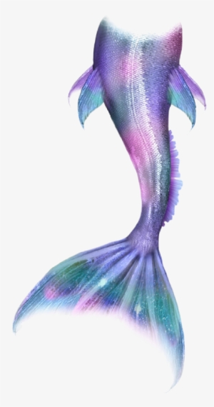 Mermaid Mermaidlife Mermaidtail Mermaids Merman Tail - Mermaid Tail Fan Art