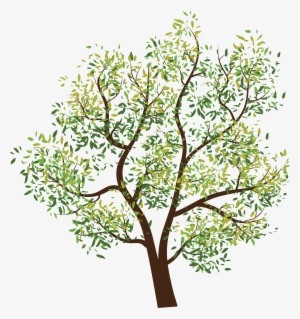 Tree Png Images Pictures Download Free Image - Transparent Background Clipart Trees