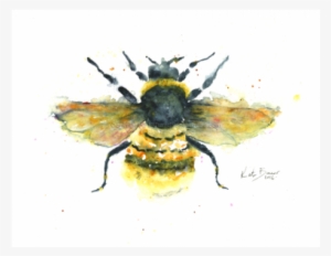 Bumble Bee Illustration Print - Watercolour Bee