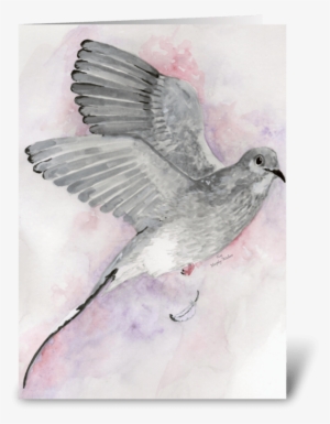 Gray Dove Greeting Card - Blue Jay