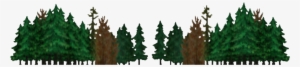 Boreal Forest Background - Taiga