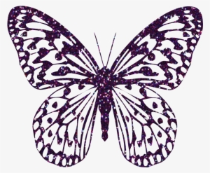 Butterfly Clipart Zebra - Butterfly Png Clipart