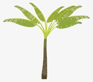 Palm Tree Png Images, Download Free Pictures - Tribe Has Spoken. Mug