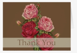 Antique Roses Thank You Note Card