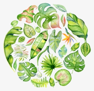 A Round Png Transparent Material For Hand-painted Leaves - Watercolor Painting