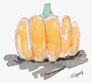 Watercolor Illustration Of Pumpkin Like A Picturebook - Pumpkin