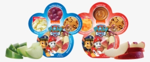 Paw Patrol Snack Trays - Nickelodeon Boys' Paw Patrol Backpack With Lunch