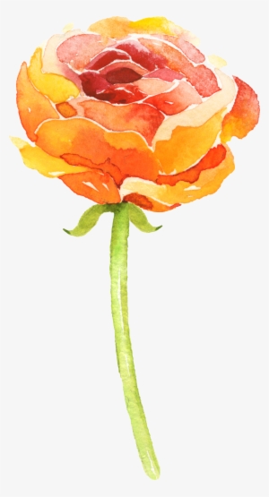 Blumen Malen - Png Flower Orange Watercolour