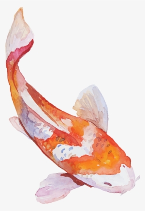 For Every $1 You Spend At D's Authentic Japanese, You - Japanese Koi Fish Png