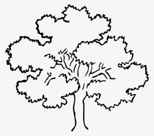 How To Set Use Oak Tree Svg Vector