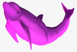Picture Pink By Equi Vampire Stock On Deviantart - Pink Dolphin Png
