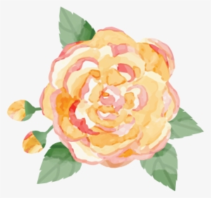 La Petite Rose Bakes - Garden Roses