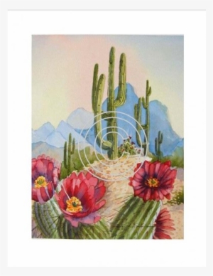 Desert Cactus Watercolor