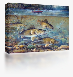 Fishing - Big Walleye Painting