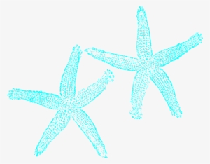 Starfish Clip Art Free - Teal Starfish