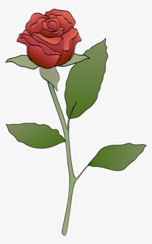 Red Roses - Red Rose Pic Art