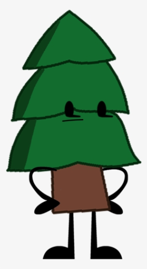 Pine Tree - - Christmas Tree
