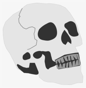 Skull And Crossbones Human Skeleton - Clipart Skull Head Small