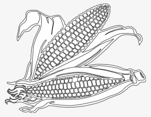 28 Collection Of Corn Drawing Png - Corn Clipart Black And White Png