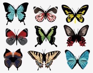 Butterflies - Butterfly Vectors