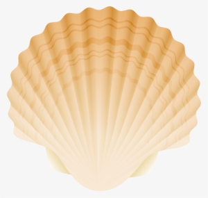 Seashell Png