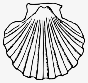 Seashell Shells Clipart Clipart - Clip Art Black And White Shell