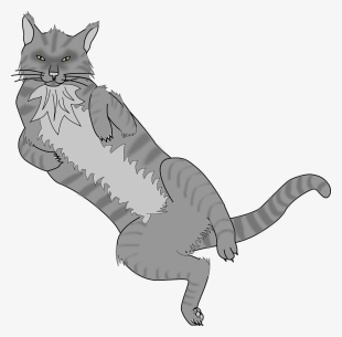 Black Cat Kitten Cartoon Veterinarian - Lying On Back Cat