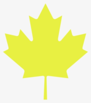 maple leaf clipart yellow - yellow maple leaf png