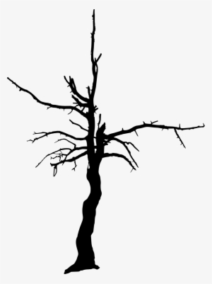 Free Download - Dry Tree Silhouettes Png