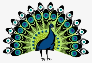 Peacock Drawing - Step By Step Tutorial - Cool Drawing Idea