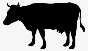 Dairy Cow Transparent Background Farm Image - Cattle Silhouette Png