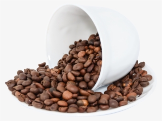 Coffee Beans Png Image - Coffee Beans Transparent Background
