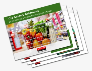 The Grocery Goldmine Ebook Cover - Mcfadyen Solutions, Inc.