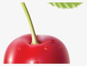 Cherry Clipart Transparent Background - Single Fruit Food Item