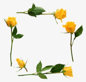 Para Adornar Marcos Photoscape Photoshop Y Gimp Flores - Yellow Rose Oval Ornament