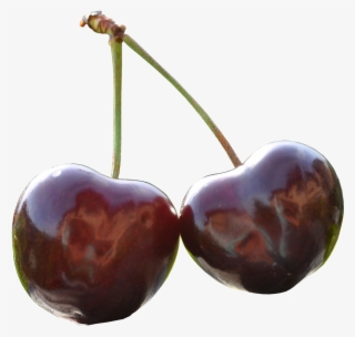 Sweet Cherry Images - Cherry