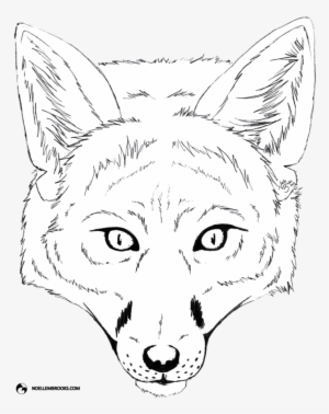 Fox Face Drawing Pictures - Line Art