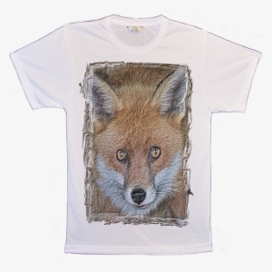 Big Animal Face Fox Gaze T-shirts Image - Swift Fox