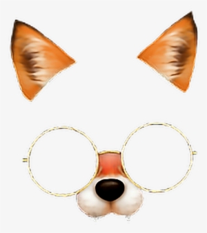 Fox Face 😍🤤 Fox Glasses Stile 💕💫 Freetoedit - Zorro Snow