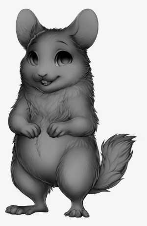 Rodent Chinchilla - Illustration