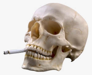 Transparent Smoking Skull Grunge Smoking Skull Skulls - Quit Smoking