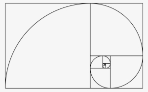 filefibonacci spiralsvg wikimedia commons - fibonacci spiral