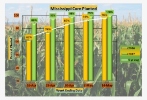 #mississippi #corn Planting Reached 100% For The Week - Monokulturen