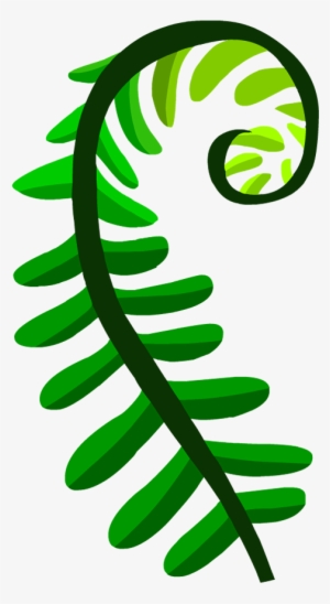 Seedless Plants - Illustration